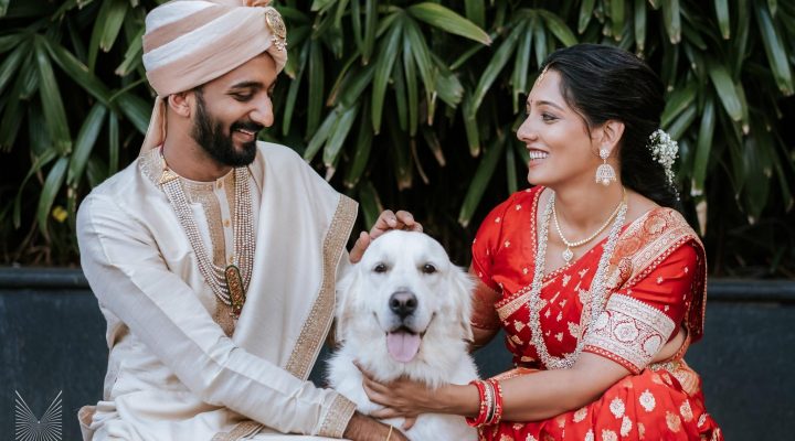 Grand Wedding: A Modern Fusion with a Pet-Friendly Twist