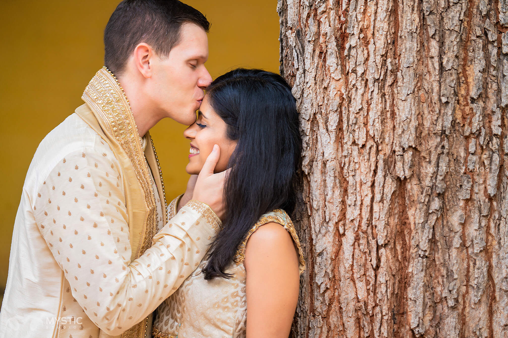 mystic-studios-chandhini-jeff-san-francisco-to-coimbatore-intercultural-love-come-arrrange-marriage-tamil-wedding68