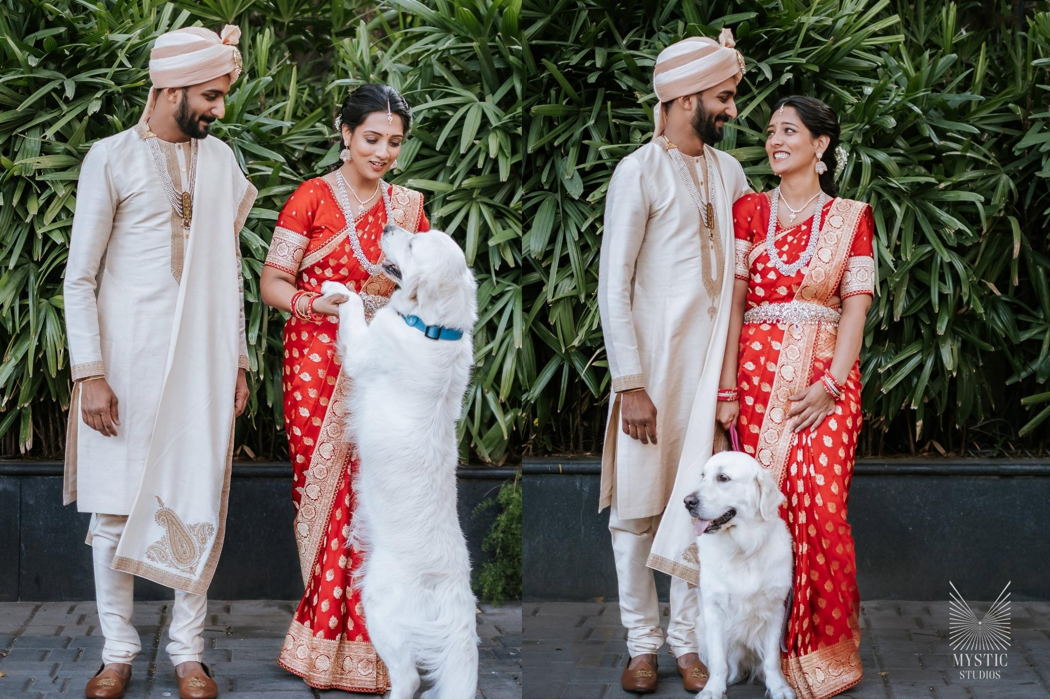 vedhika-shanmugam-pet-friendly-wedding-adani-mysticstudios-bigfatwedding-chennai-itcgrandchola-modern-wedding12