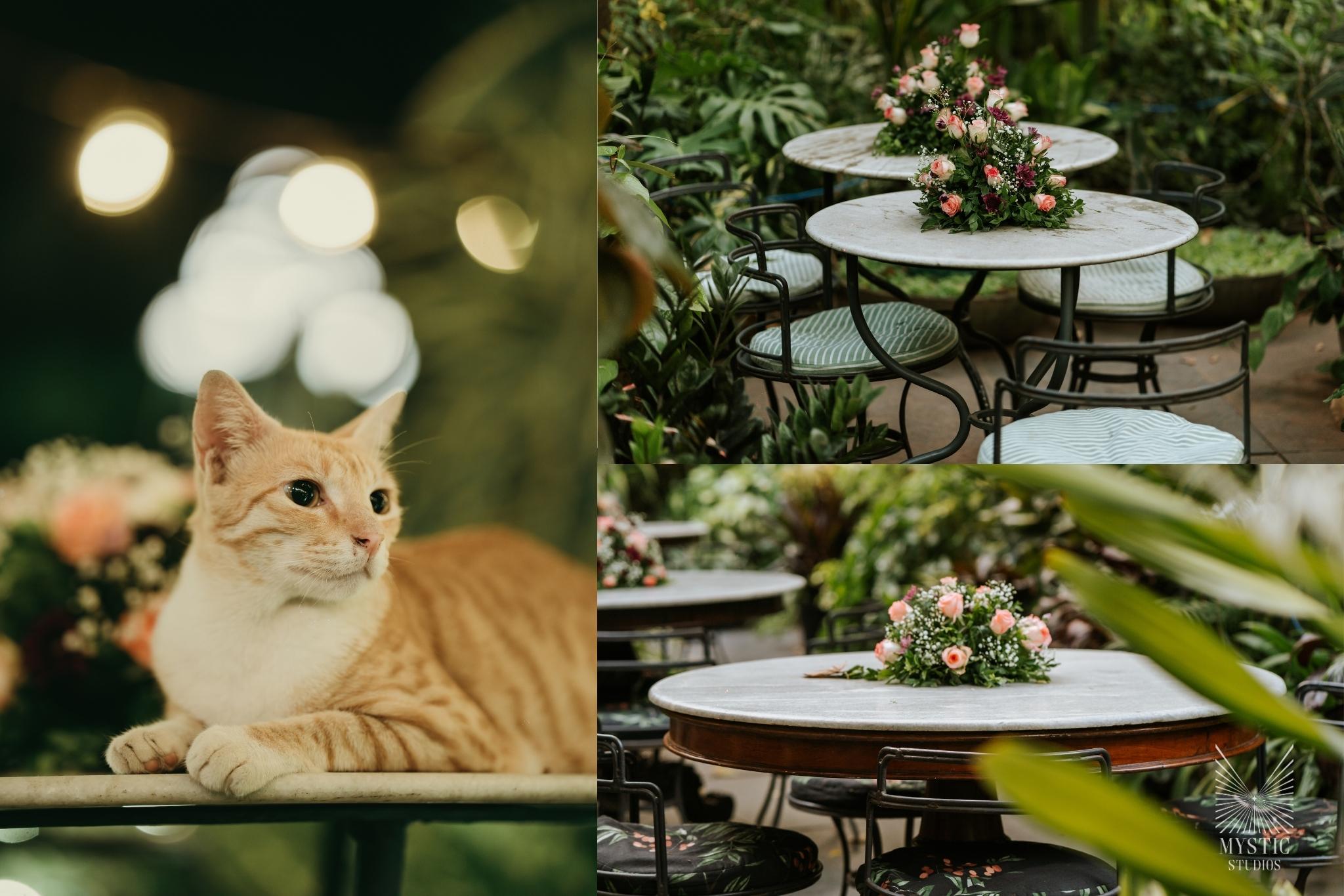 vedhika-shanmugam-pet-friendly-wedding-adani-mysticstudios-bigfatwedding-chennai-itcgrandchola-modern-wedding27
